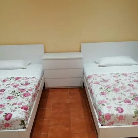 Dream Holidays 梅斯特雷